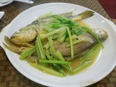 黄花鱼-肥信潮菜(科新路店)