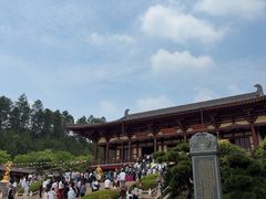 -庐山风景名胜区-东林大佛