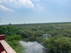 -北海金海湾红树林生态旅游区