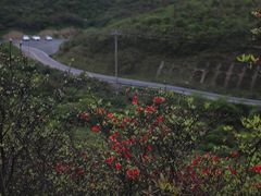 -大围山国家森林公园