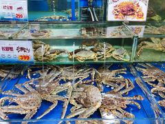 水产区-东江海鲜酒家(艺都分店)