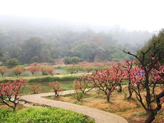 -南国桃园旅游度假区