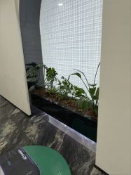 -重庆军科整形美容医院