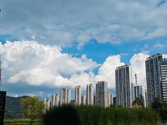 -梅溪湖城市岛