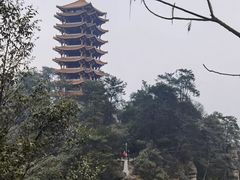 -缙云山景区