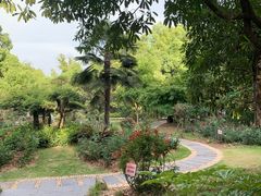 -东湖落雁景区