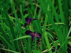 -苏州河梦清园环保主题公园