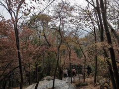 -紫金山山顶公园