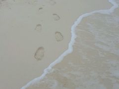 -自然餐厅(Phuket)