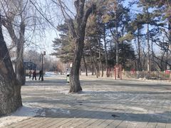 -长春市南湖公园