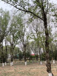 -大美儿童世界(奥林匹克水上公园店)