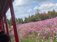 -歌斐颂巧克力小镇