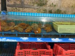 -坛南湾阿强农家乐.海鲜大排档老字号(福州地标美食店)