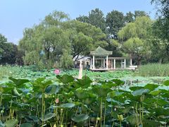 -北陵公园