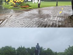 -莲花山公园