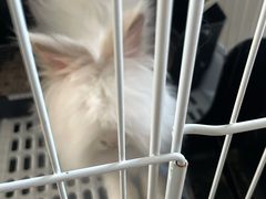-小意思咖啡店(草桥店)