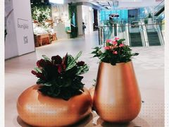 -合景·悠方(成都店)