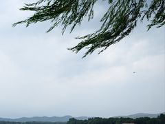 -浙江西子宾馆·牡丹厅