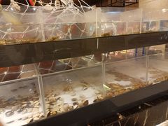 -广州万富希尔顿酒店·感趣自助餐厅·金秋蟹宴生蚝海鲜刺身烧烤