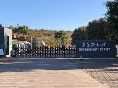 -元谋浪巴铺土林景区