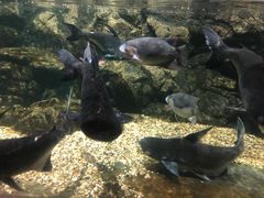 -江和美海洋公园