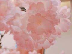 -极乐汤(川沙店)