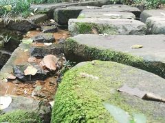 -杭州半山国家森林公园