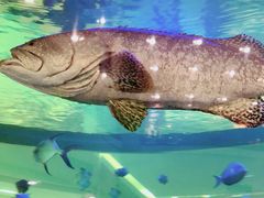 -尚泰清迈机场购物中心