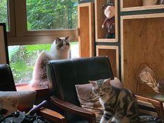 -咖法森林·咖啡  酒吧(天河店)