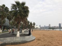 -金沙湖公园