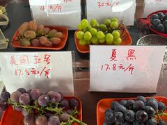 -马陆小张葡萄园农家乐