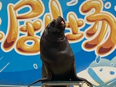 -厦门海底世界