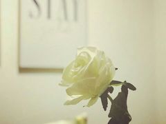 -JF Garden(渔人码头店)