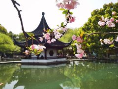-西园戒幢律寺