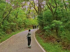 -青龙山国家森林公园