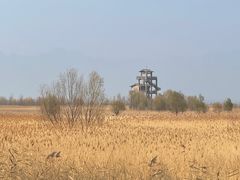 -野鸭湖国家湿地公园