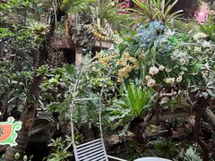 -正佳雨林生态植物园