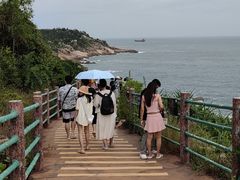 -广东惠东海龟国家级自然保护区