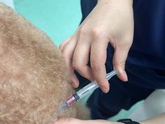 -北京观赏动物医院·24小时大型综合·猫专科·异宠专科