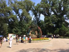 iphone_upload_pic-沈阳南湖公园