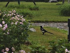 -江南大学(蠡湖校区)