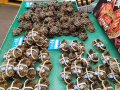 -麦德龙(郑东店)