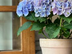 -本無咖啡·BeanWood Coffee