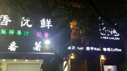-艾嘉形象