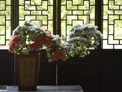 -上海醉白池公园