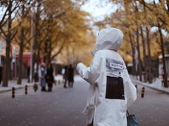 -三里屯东五街银杏大道