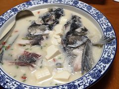 -全乐鱼馆·淳牌有机鱼直营店
