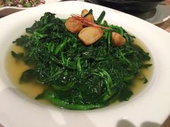 上汤西洋菜-陶陶居海鲜酒家(新马路店)