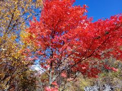 -叠溪松坪沟景区