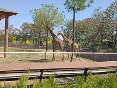 -石家庄市动物园